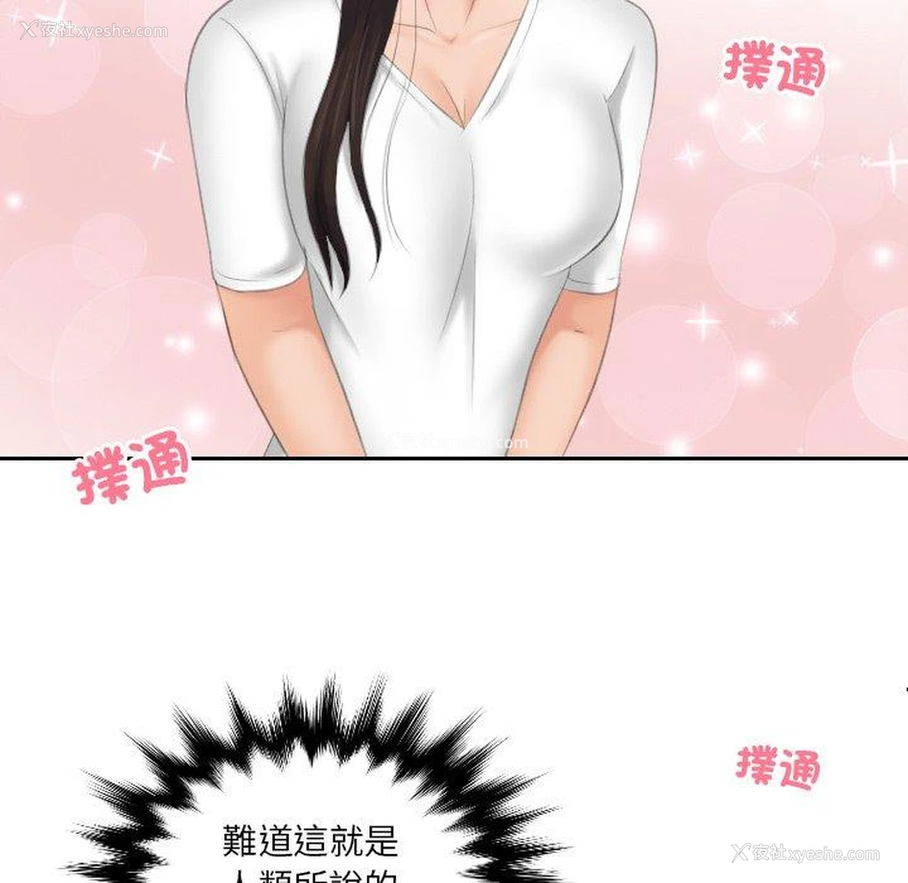 7P - 我的完美娃娃/我的专属娃娃