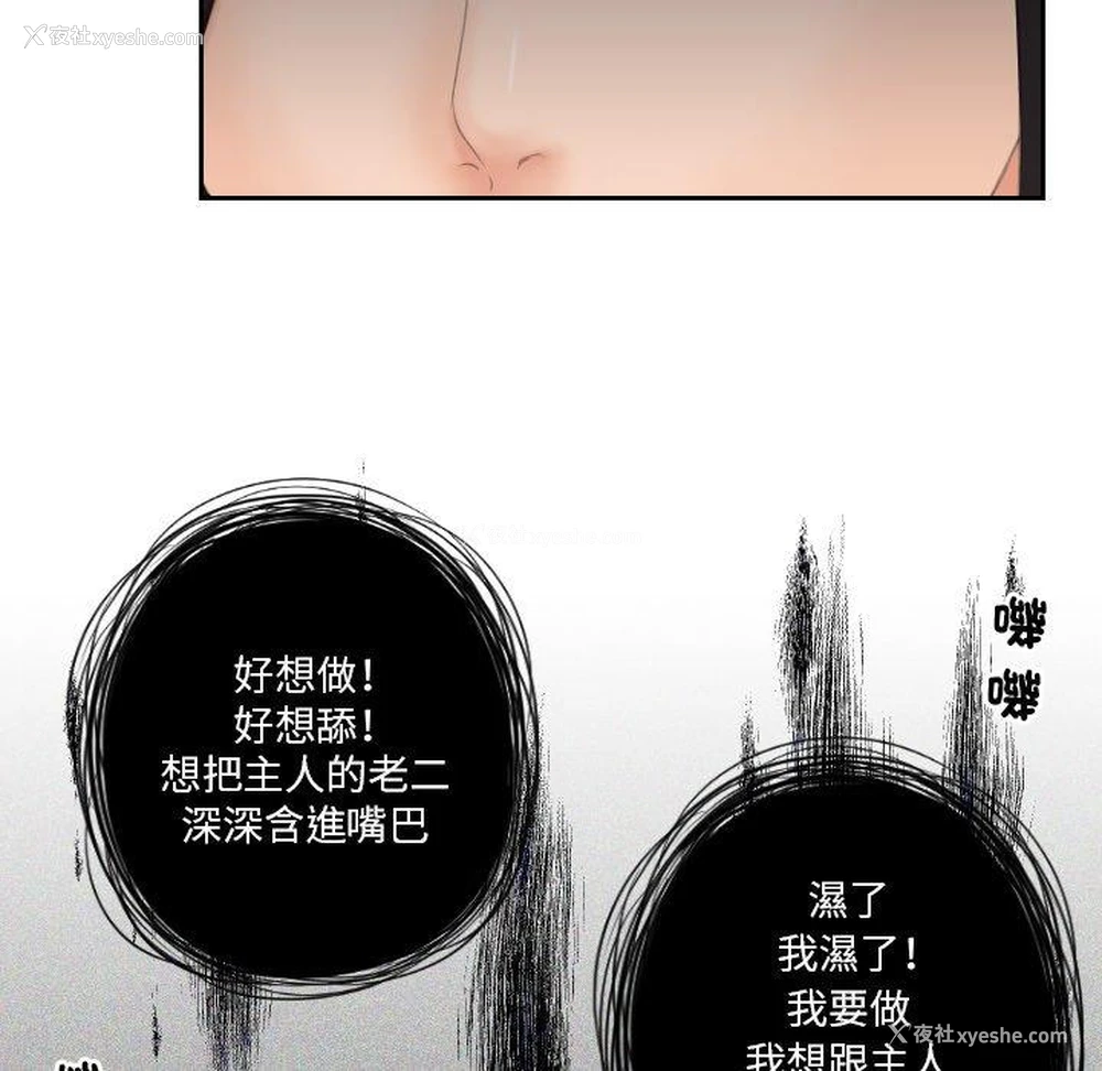 34P - 我的完美娃娃/我的专属娃娃