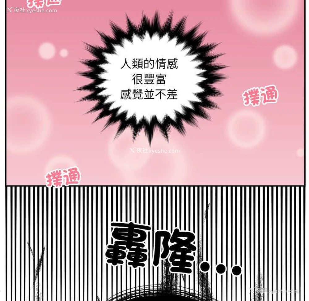 62P - 我的完美娃娃/我的专属娃娃