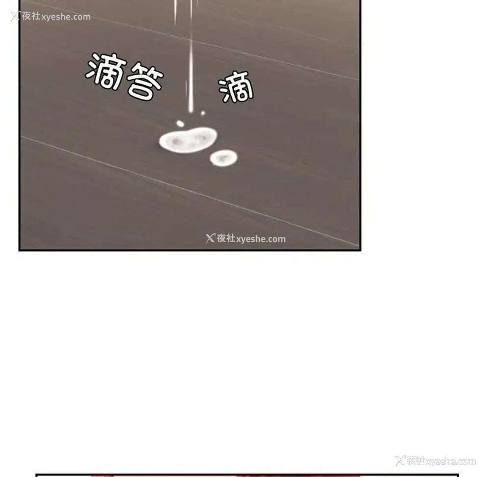 12P - 我的完美娃娃/我的专属娃娃