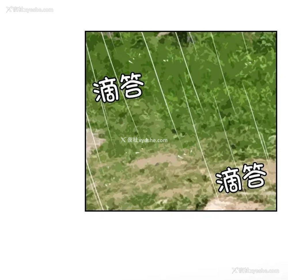 41P - 我的完美娃娃/我的专属娃娃