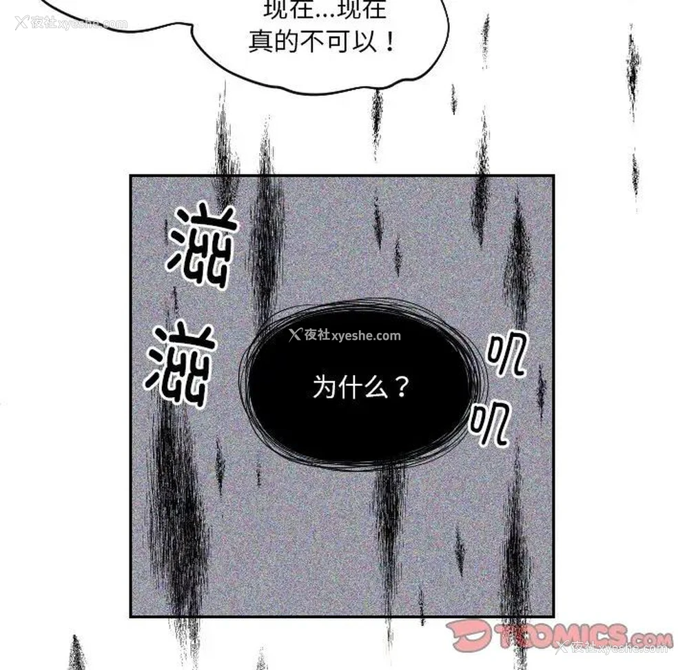 74P - 我的完美娃娃/我的专属娃娃