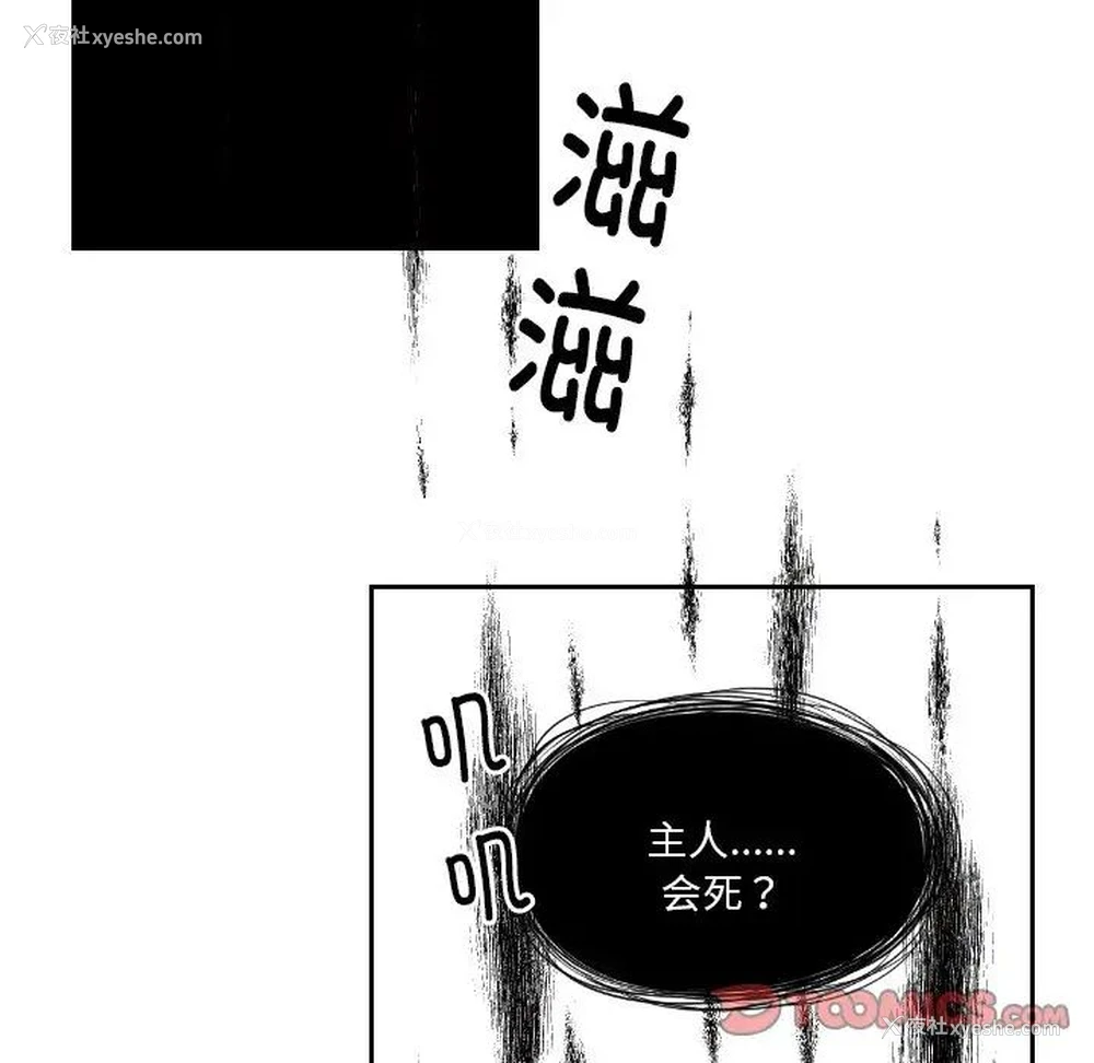 78P - 我的完美娃娃/我的专属娃娃