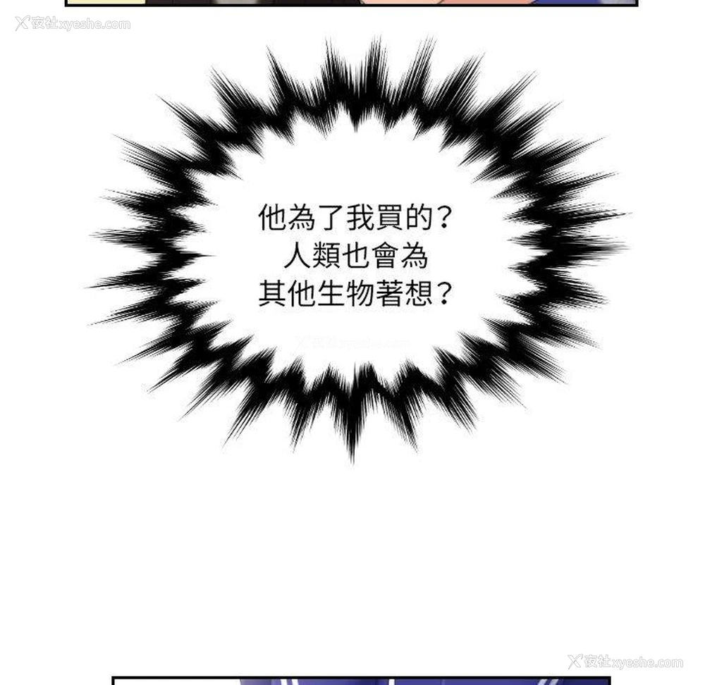 93P - 我的完美娃娃/我的专属娃娃