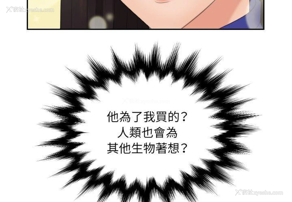 4P - 我的完美娃娃/我的专属娃娃