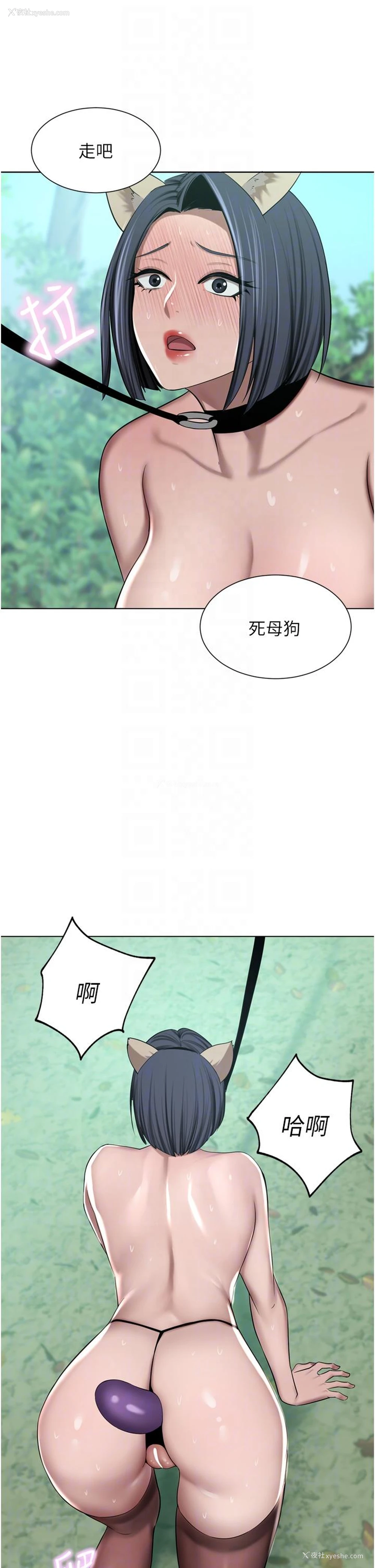 14P - 豪门人妻