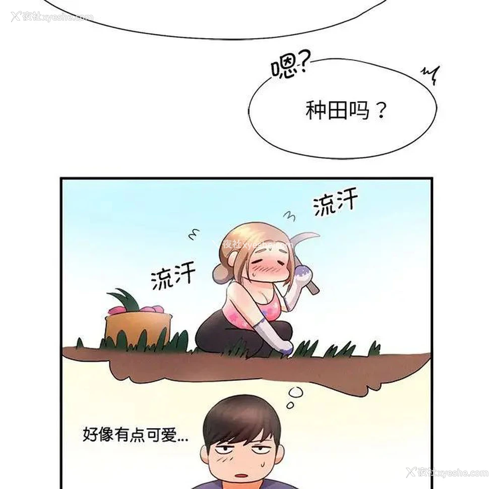 48P - 乘风高飞