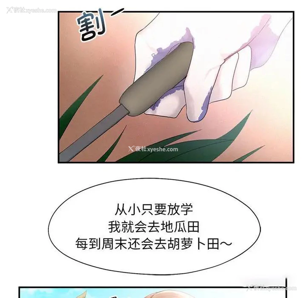 50P - 乘风高飞