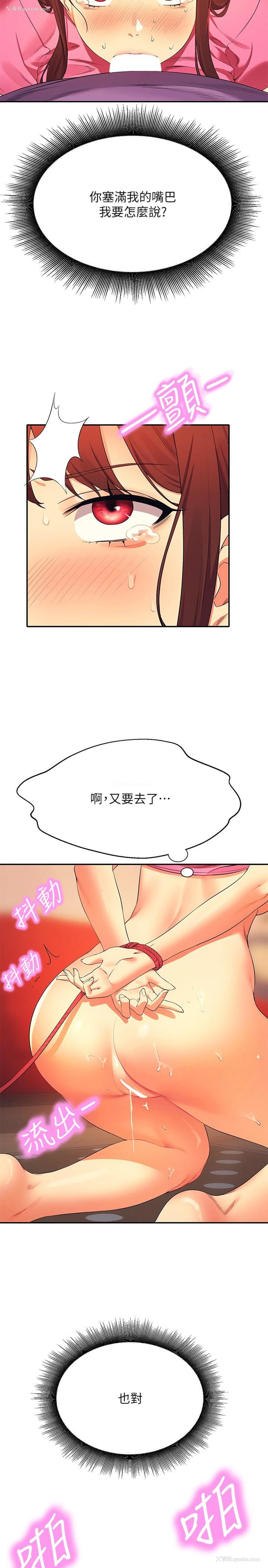 31P - 谁说理组没正妹