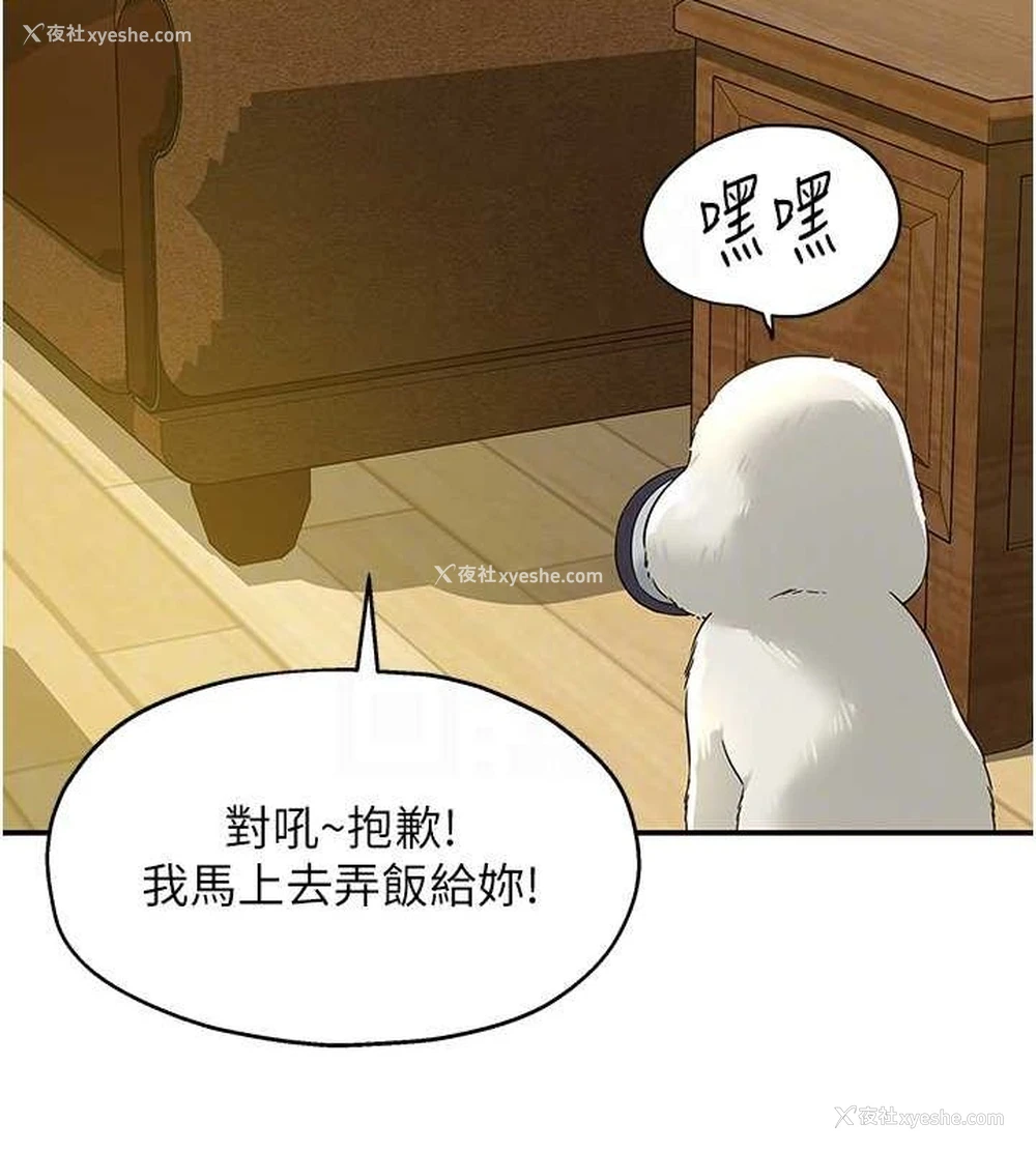21P - 洞洞杂货店