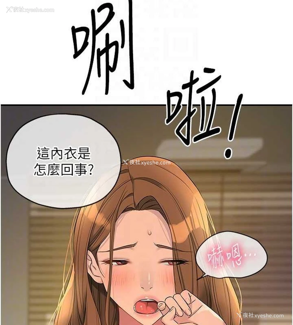 113P - 洞洞杂货店