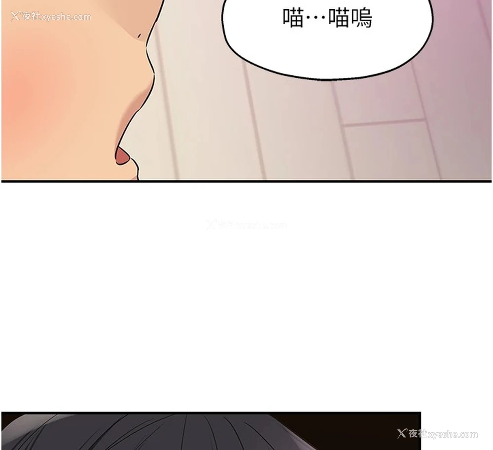 144P - 洞洞杂货店
