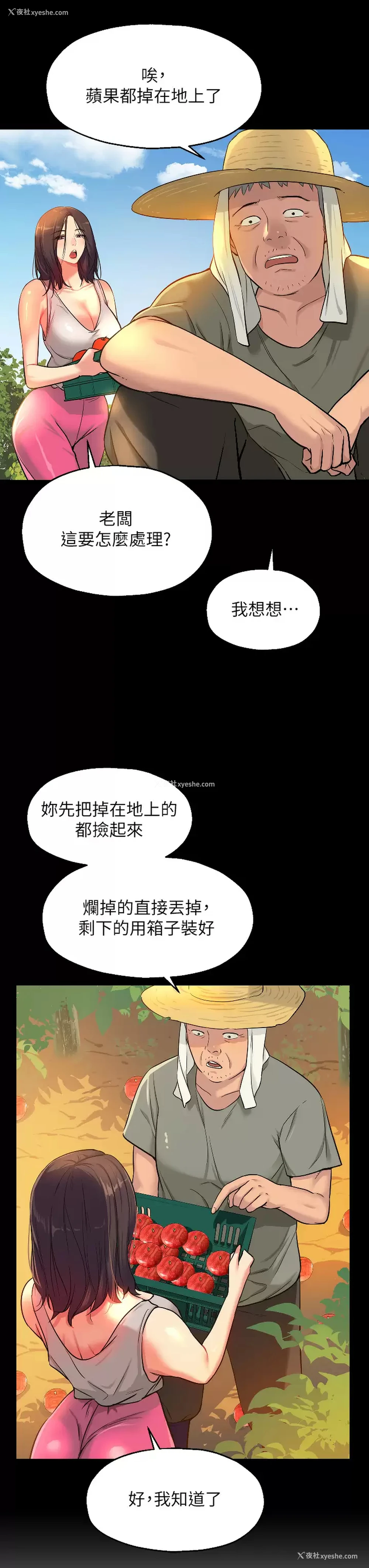 3P - 洞洞杂货店