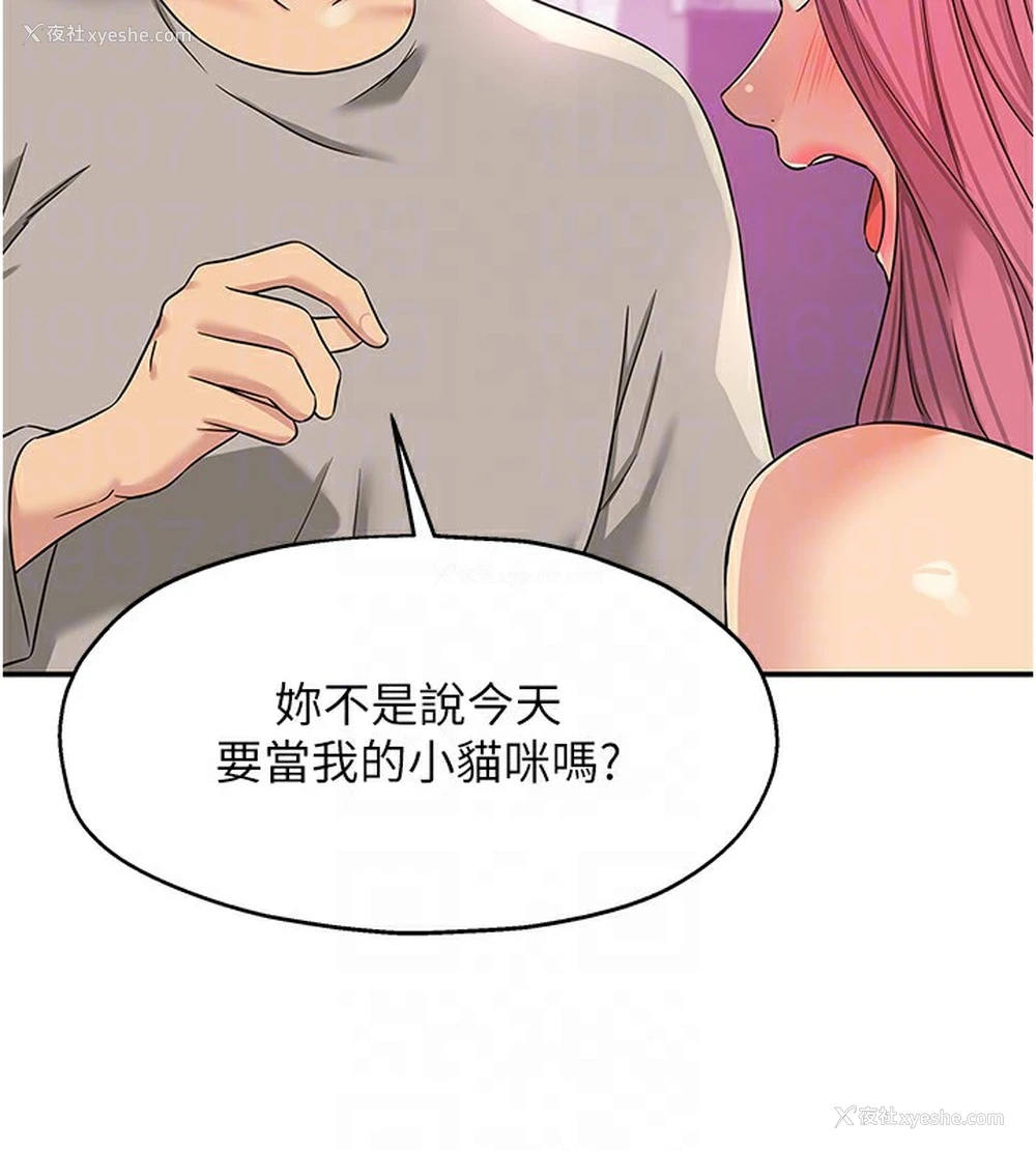 32P - 洞洞杂货店