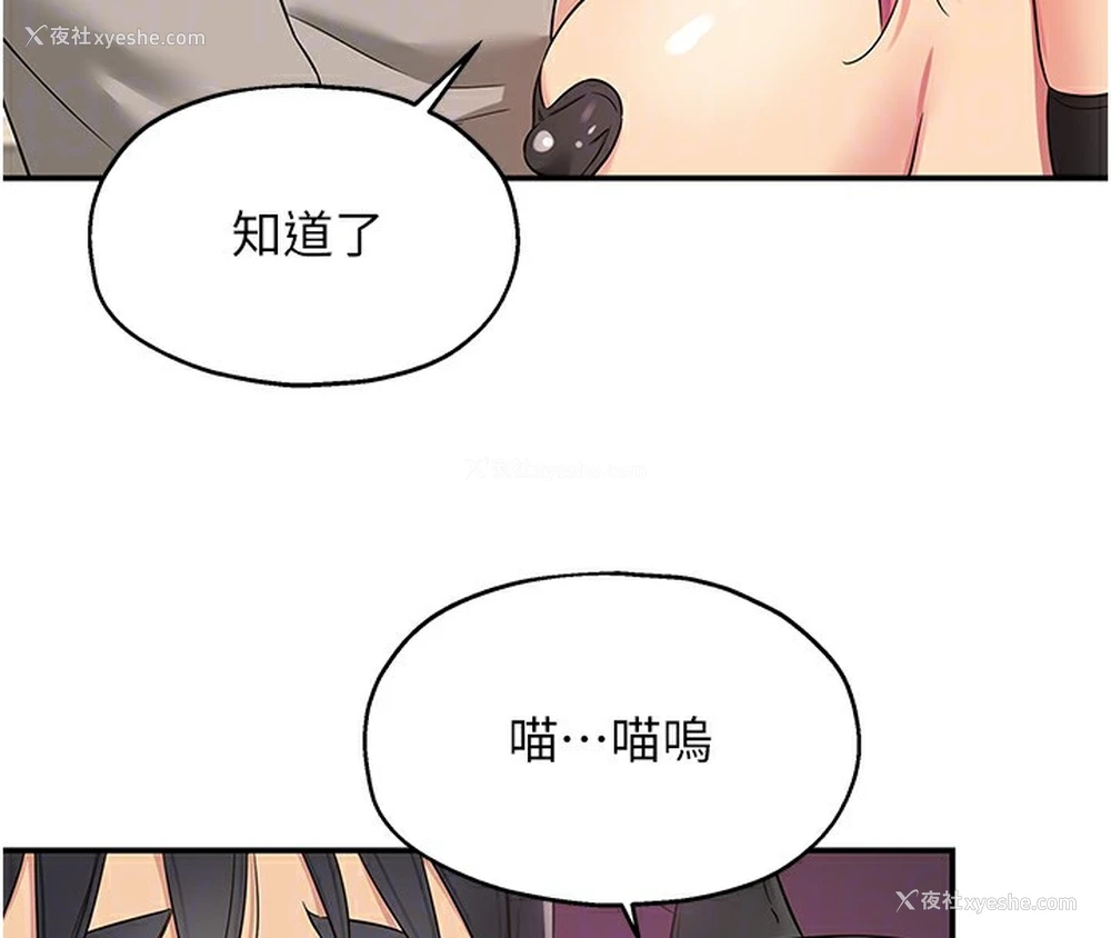 34P - 洞洞杂货店