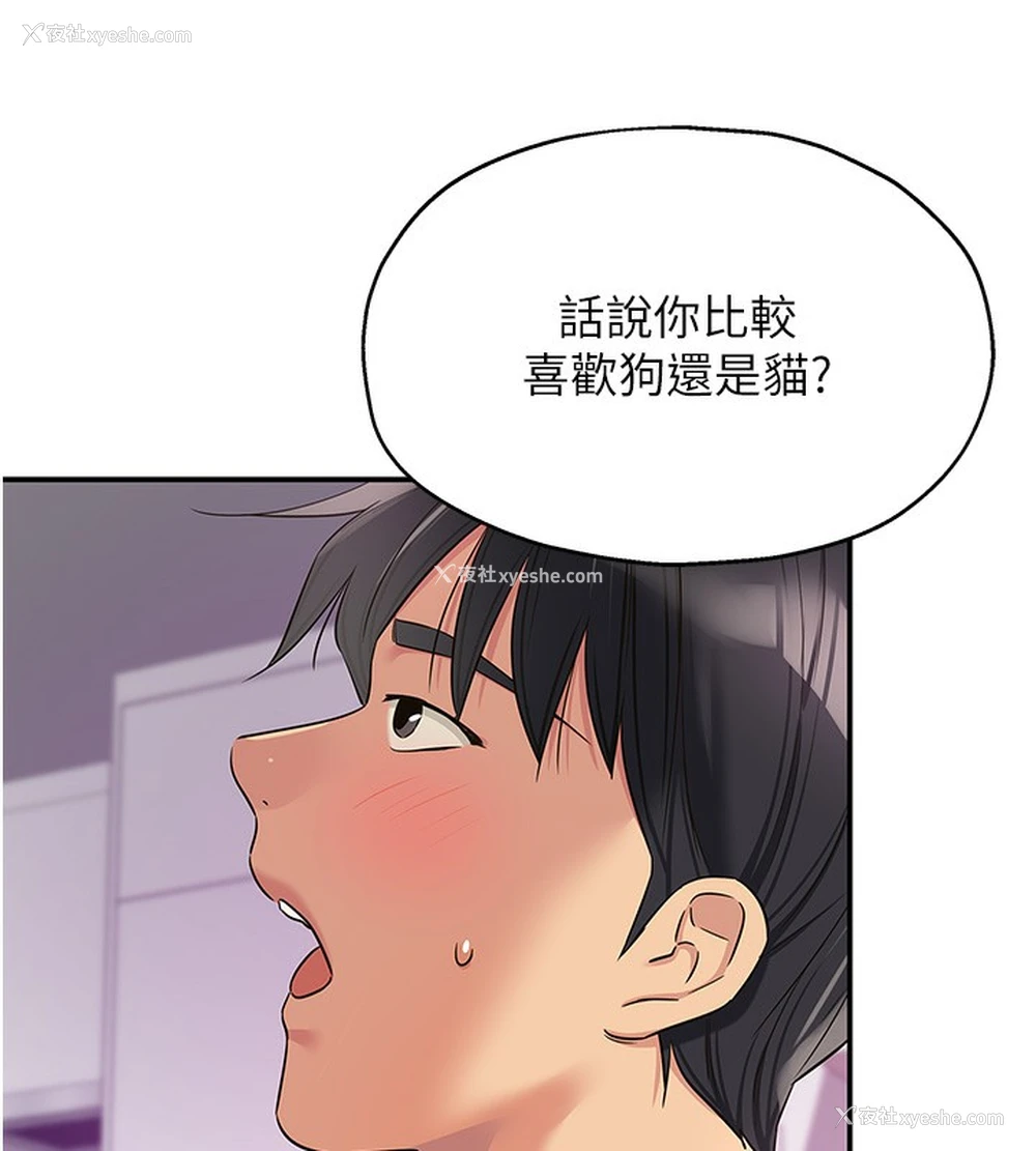 5P - 洞洞杂货店