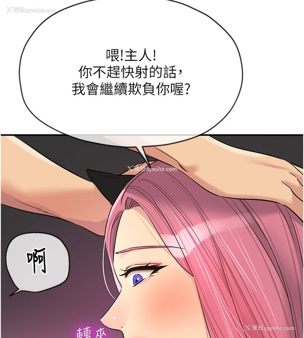 65P - 洞洞杂货店