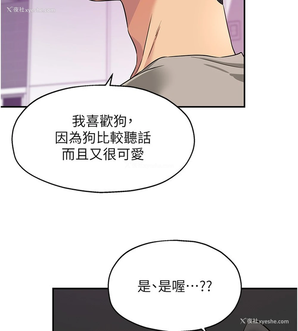 6P - 洞洞杂货店