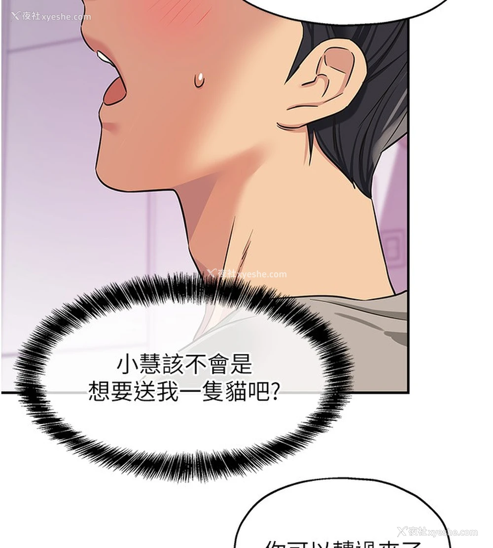 9P - 洞洞杂货店