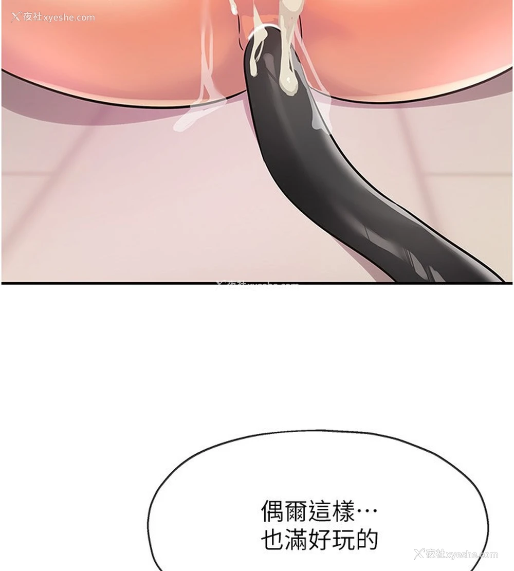 36P - 洞洞杂货店