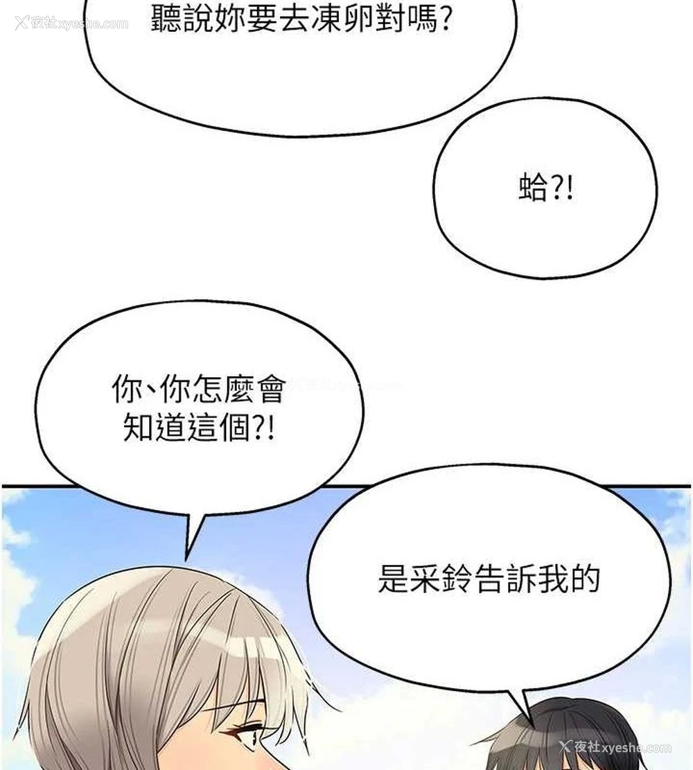3P - 洞洞杂货店