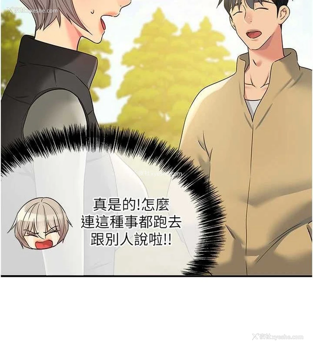 4P - 洞洞杂货店