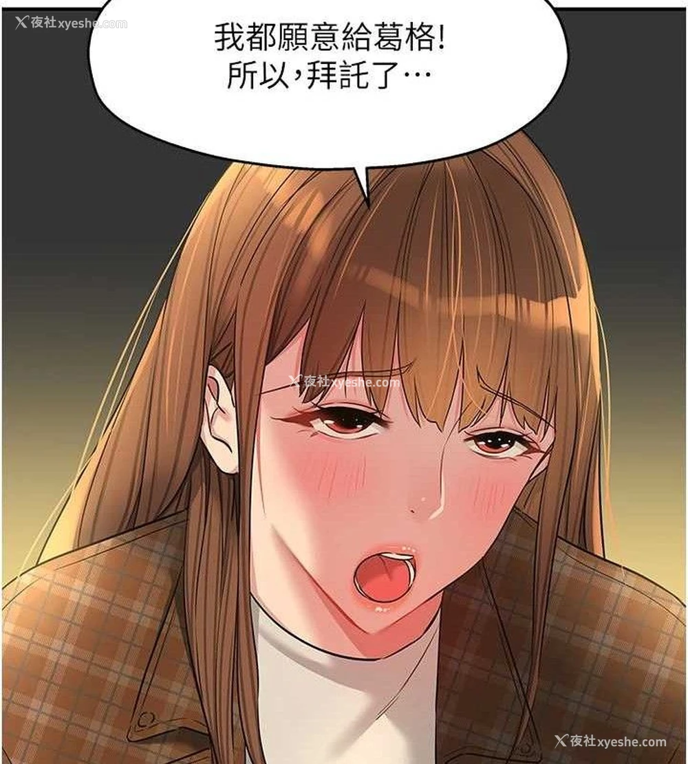 53P - 洞洞杂货店