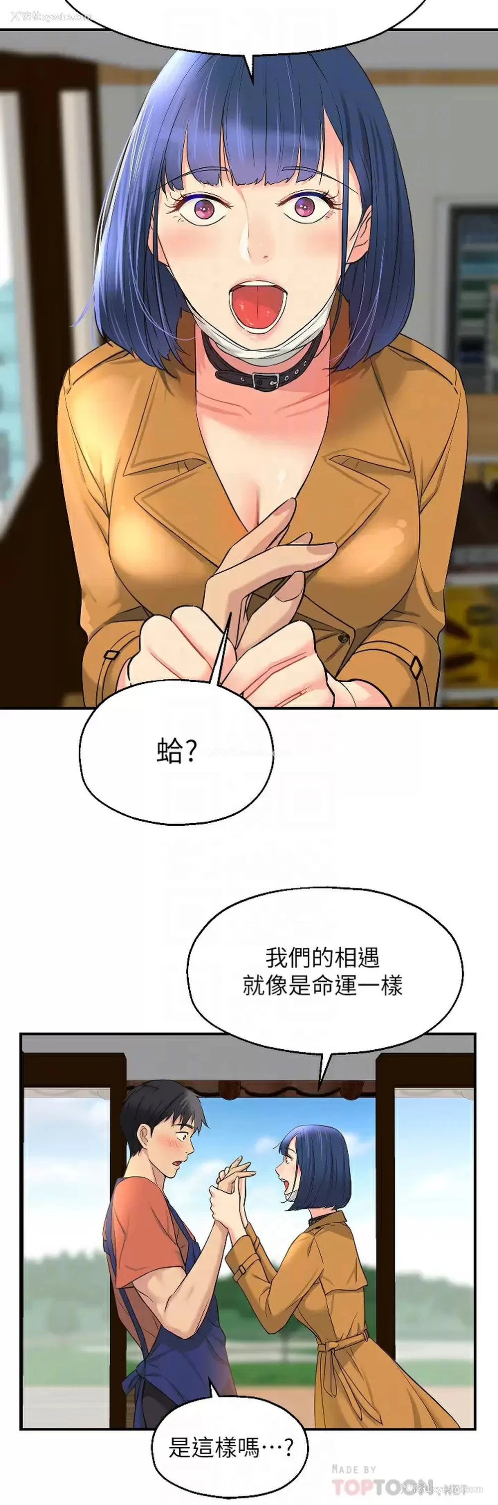 6P - 洞洞杂货店