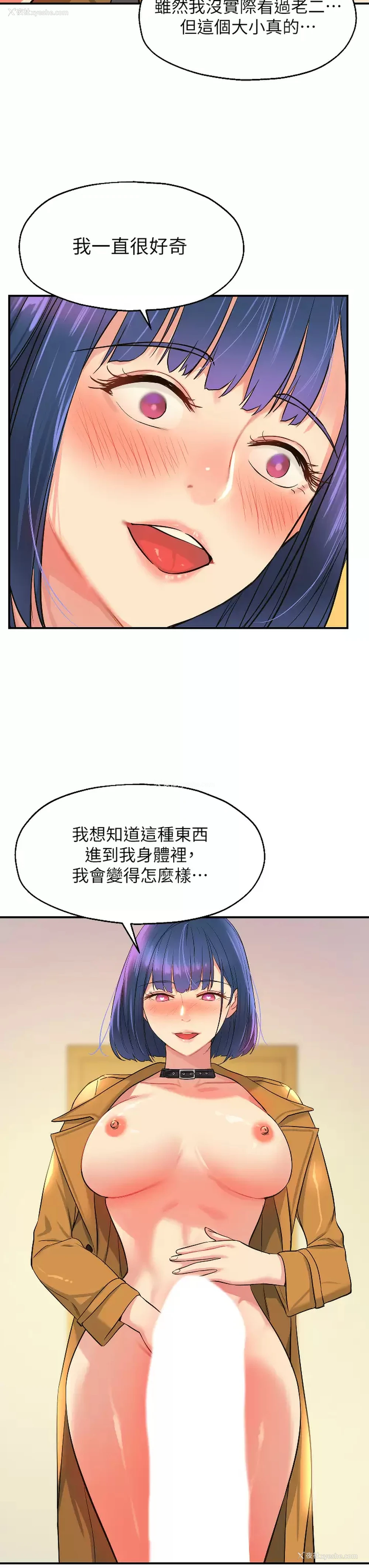 3P - 洞洞杂货店
