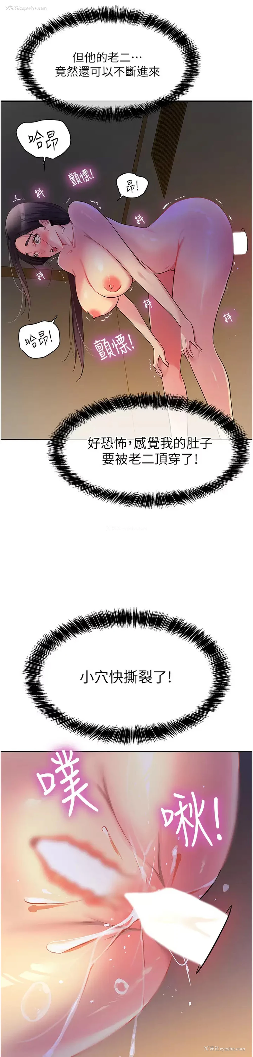 40P - 洞洞杂货店