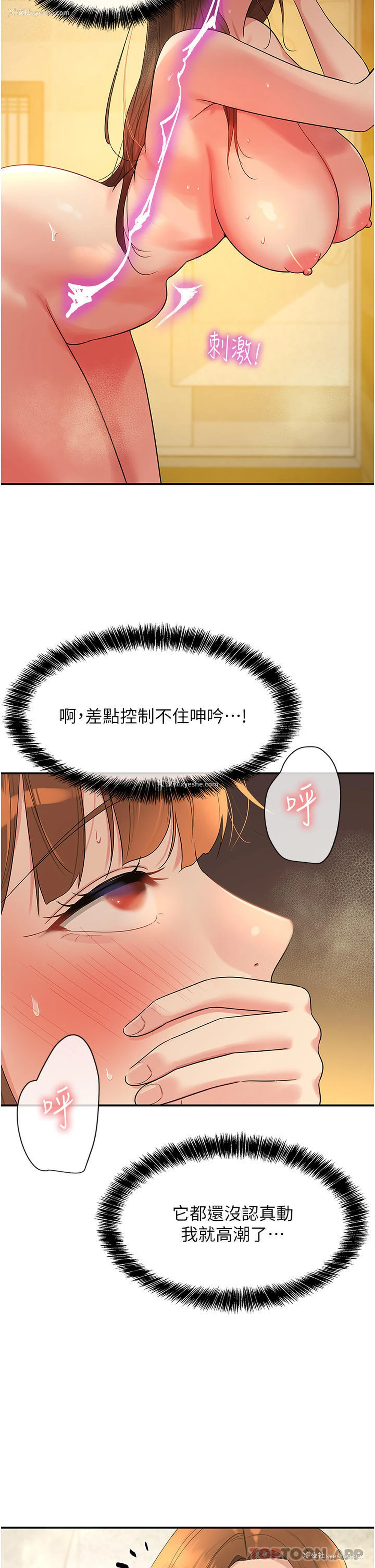 7P - 洞洞杂货店