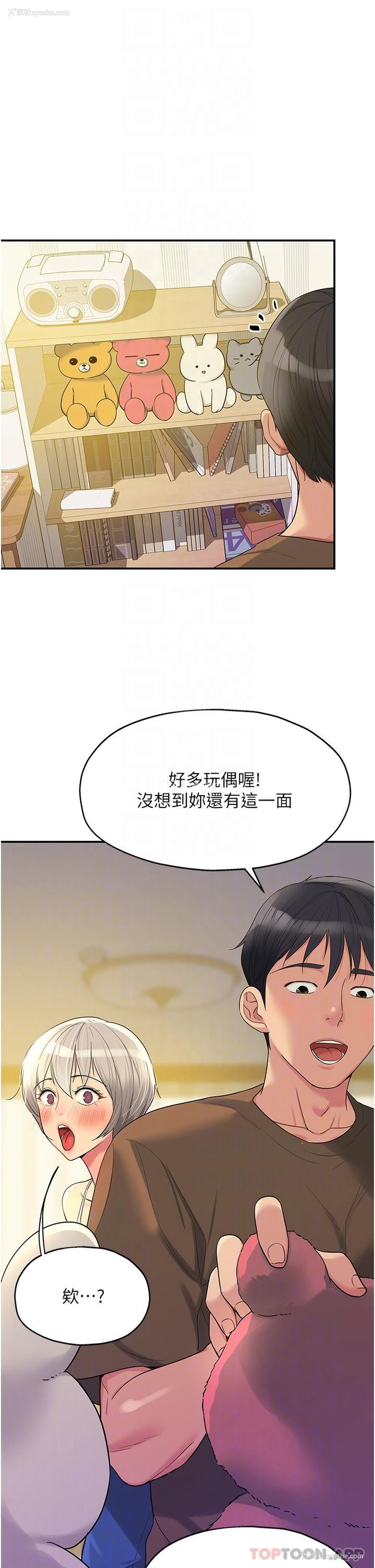5P - 洞洞杂货店