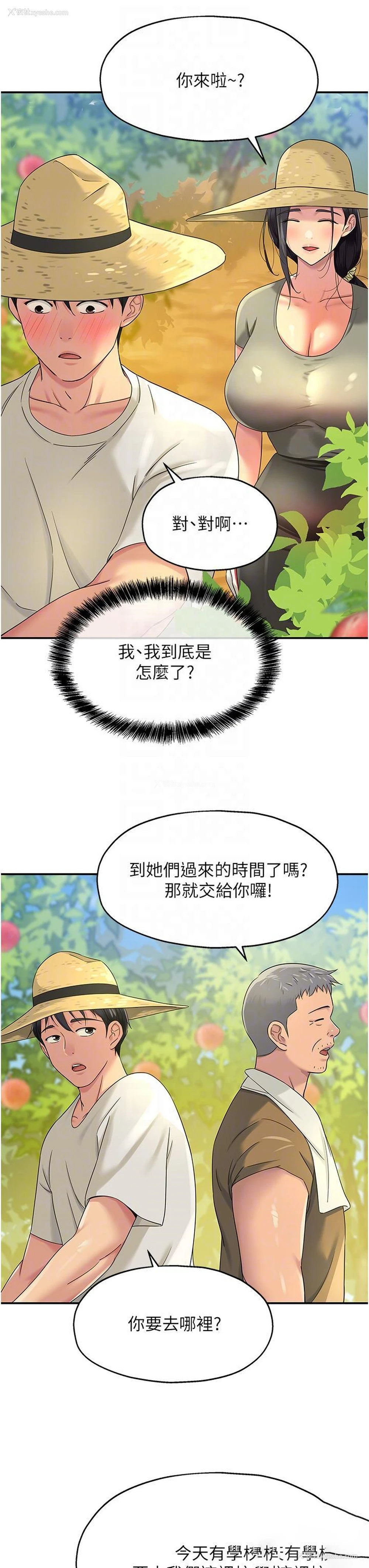 32P - 洞洞杂货店