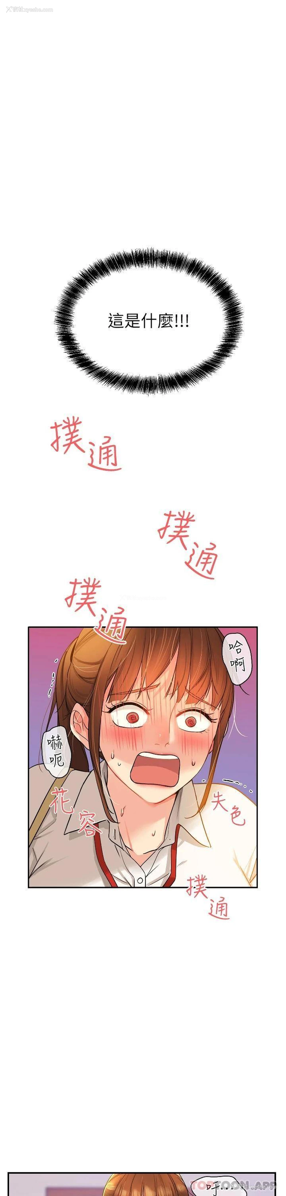 1P - 洞洞杂货店