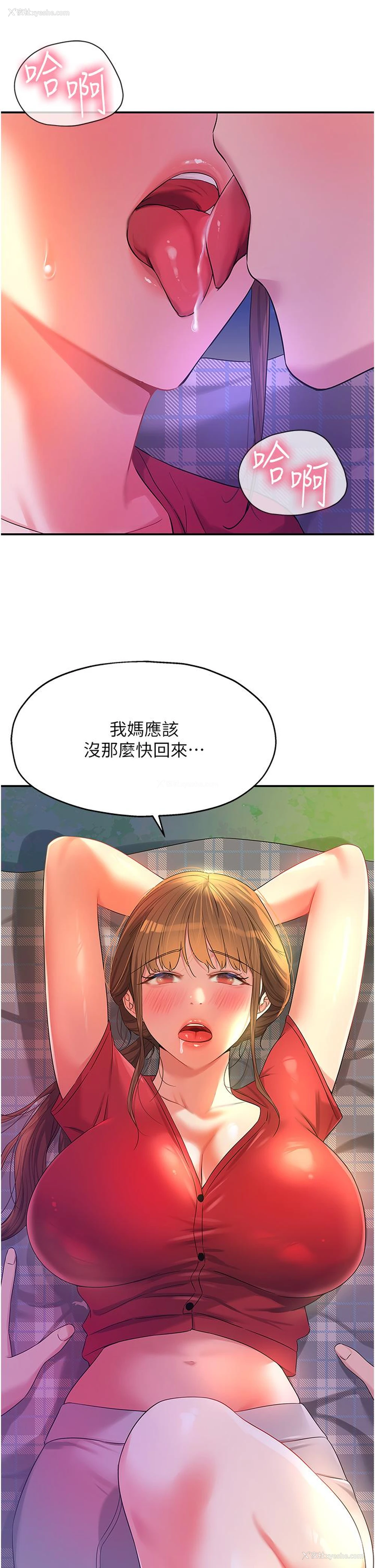 33P - 洞洞杂货店