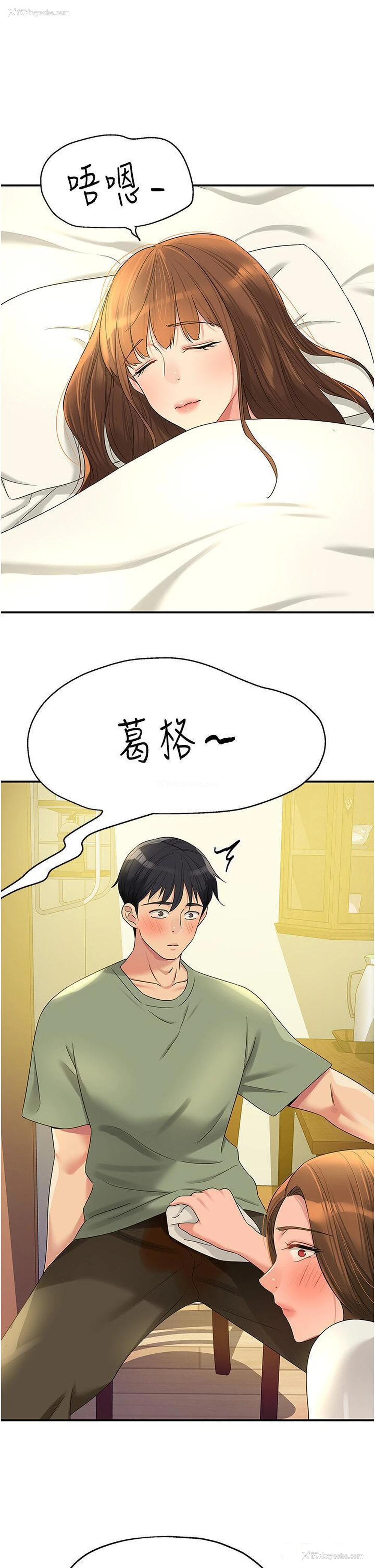 33P - 洞洞杂货店