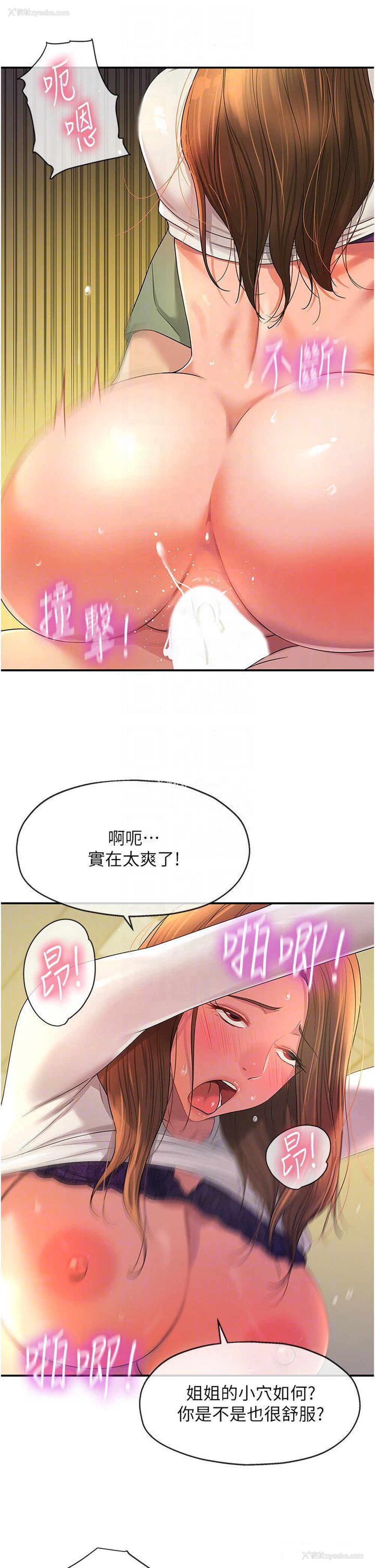 33P - 洞洞杂货店