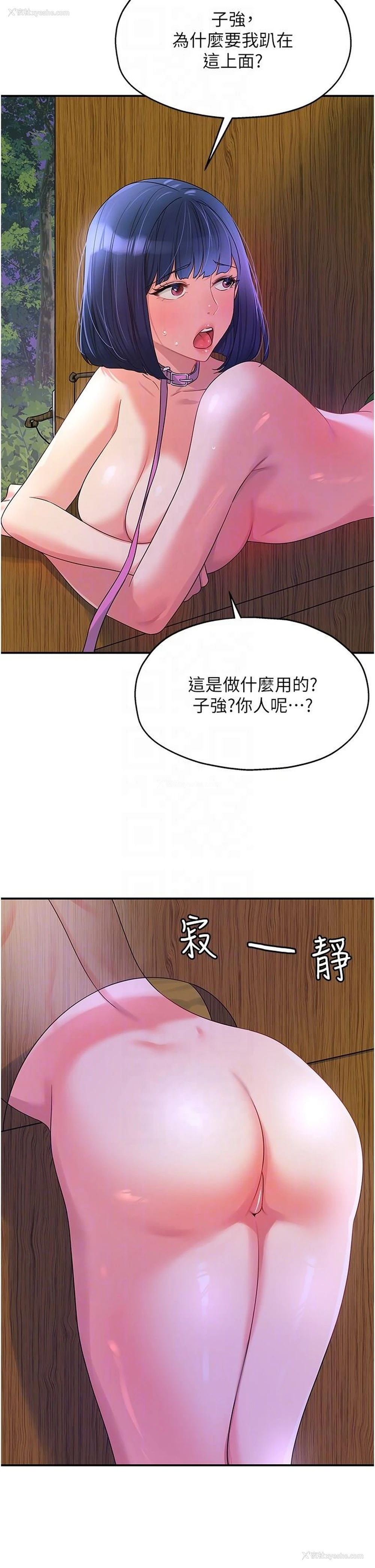 24P - 洞洞杂货店