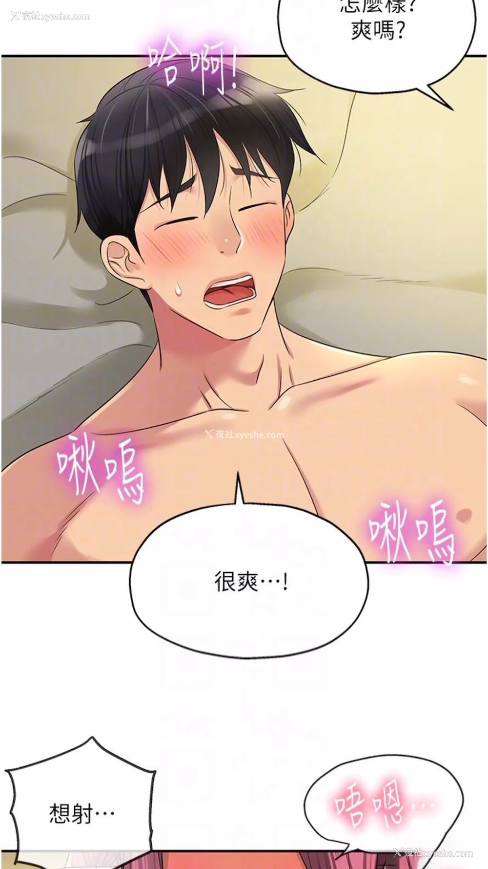 43P - 洞洞杂货店