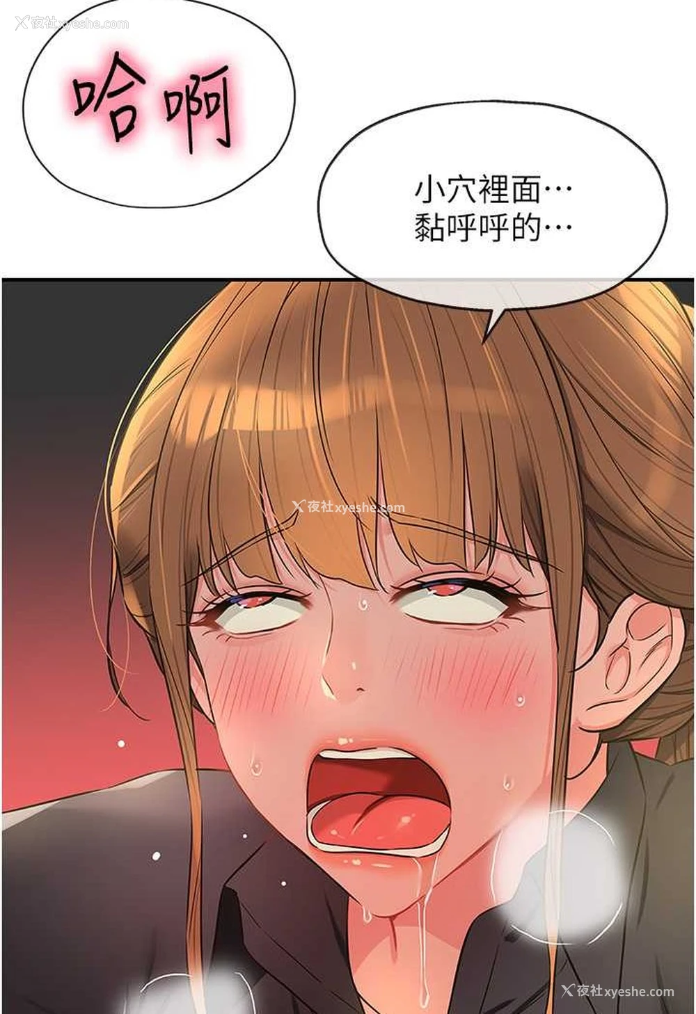 37P - 洞洞杂货店