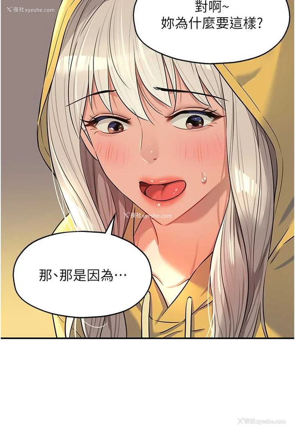 53P - 洞洞杂货店