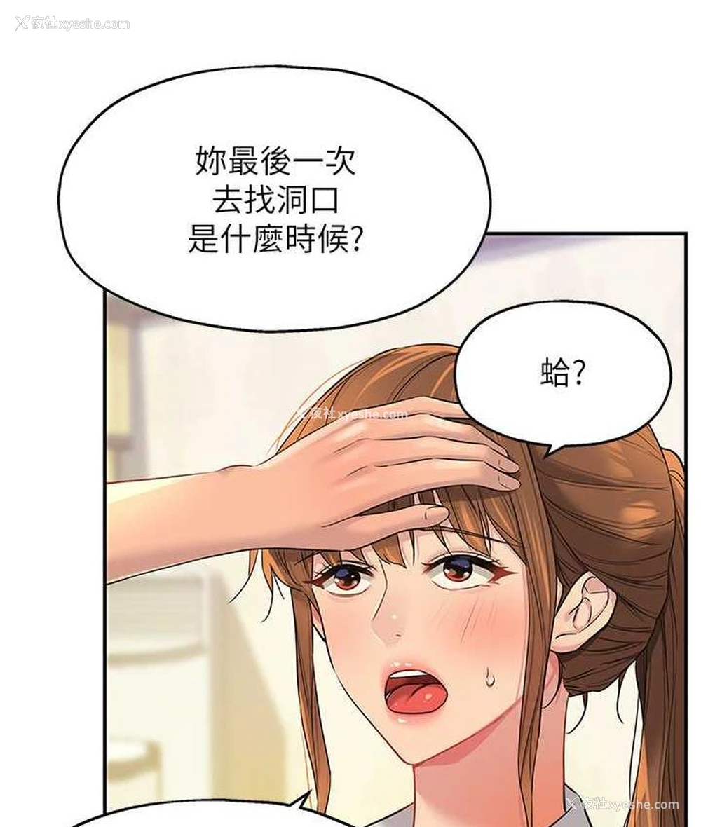 5P - 洞洞杂货店
