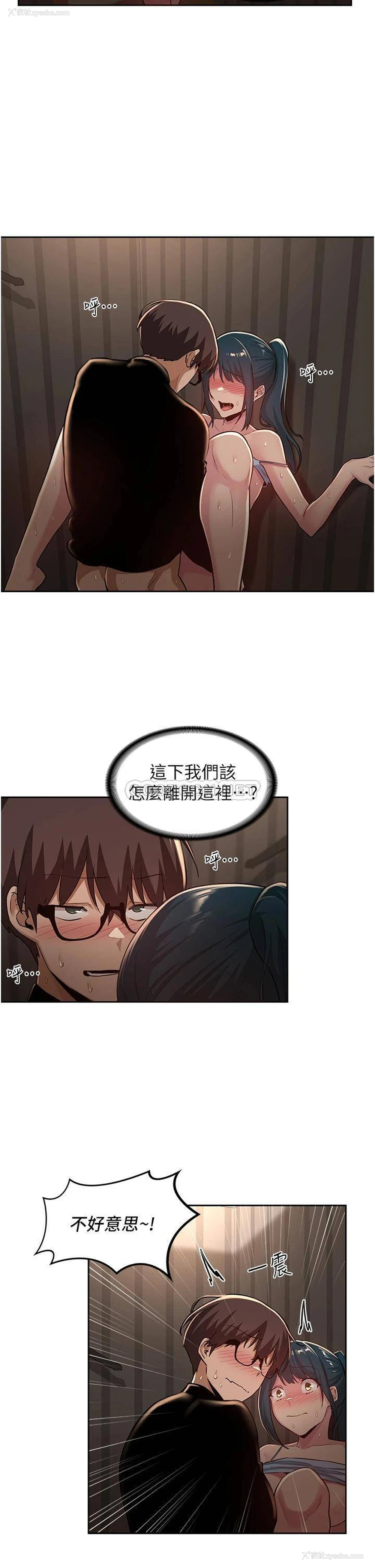 5P - 深度交流会