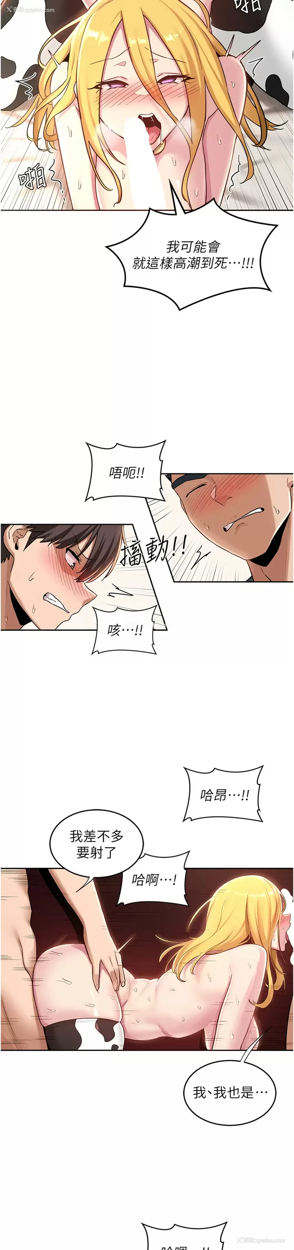 20P - 深度交流会