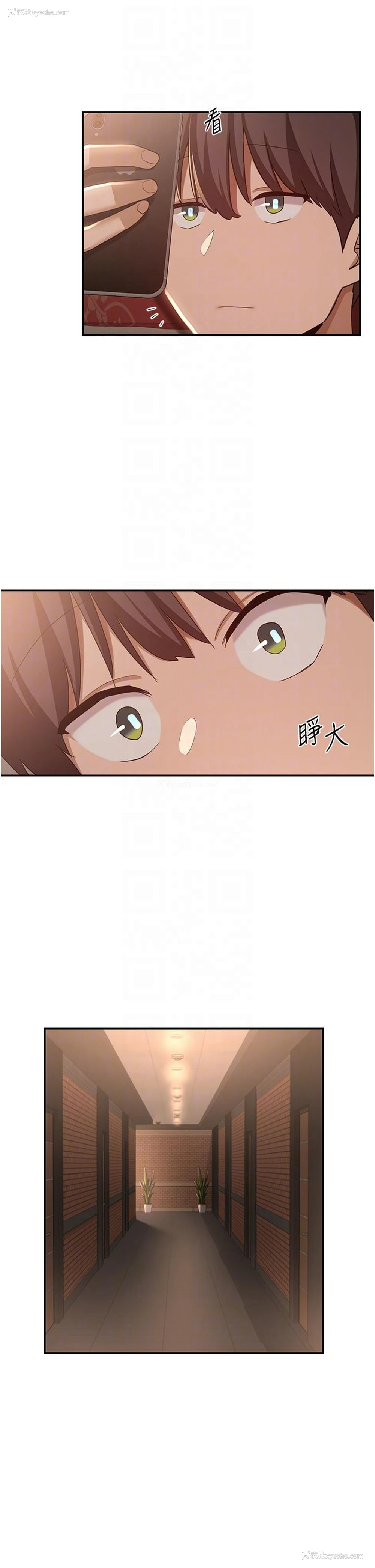 24P - 深度交流会