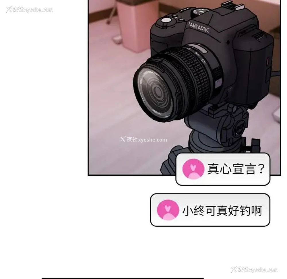 14P - 青梅以上恋人未满