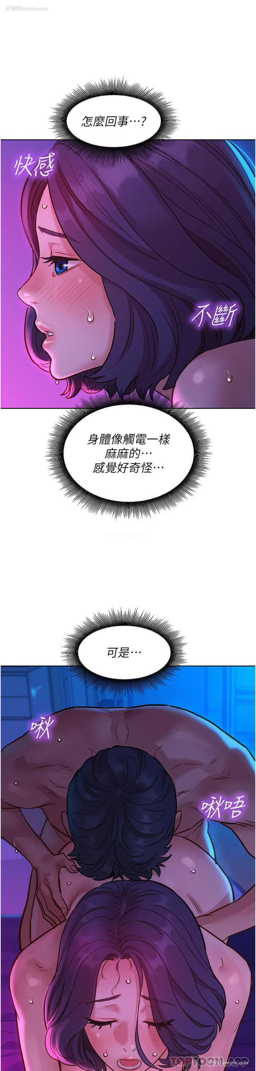 31P - 友情万睡