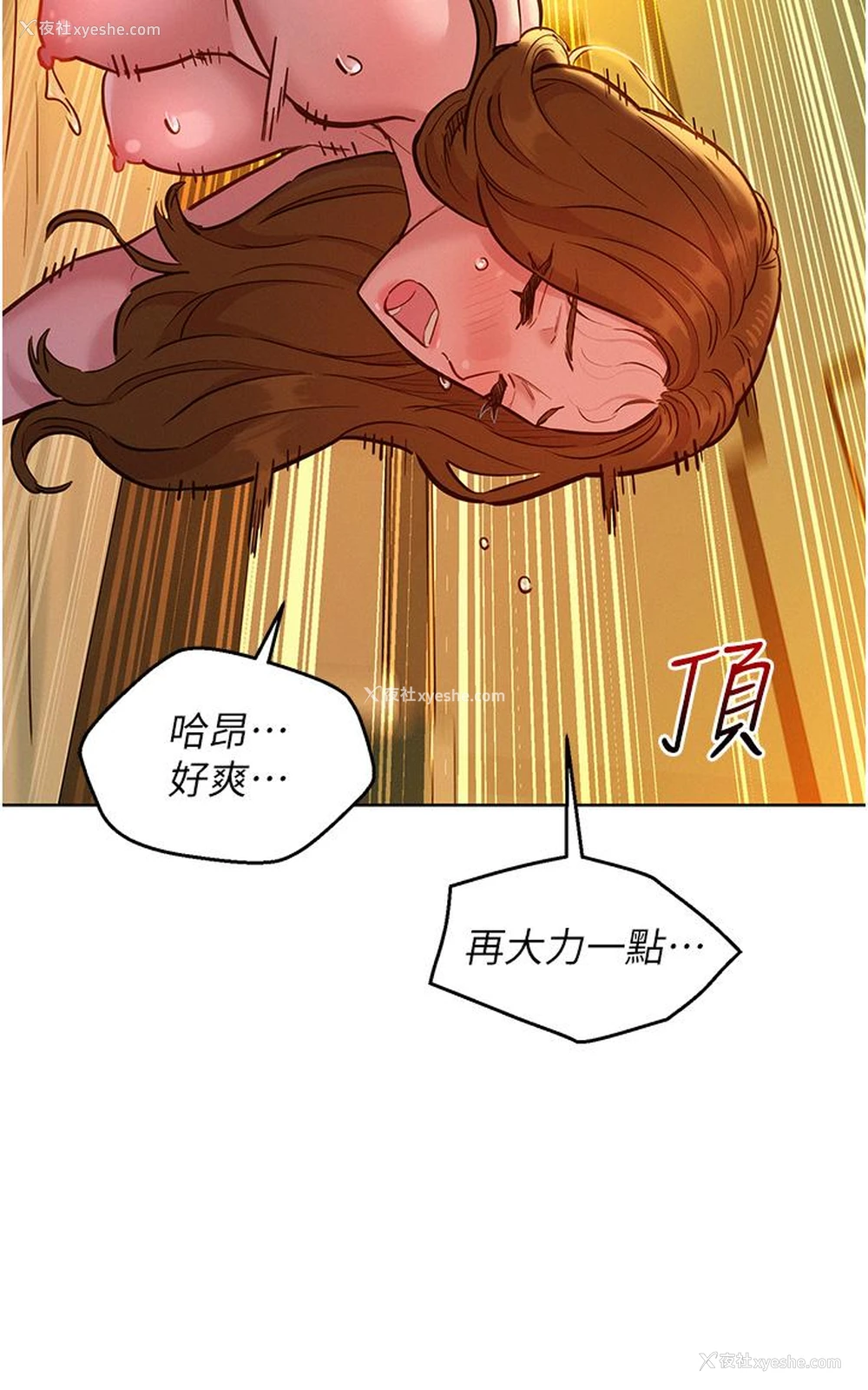4P - 友情万睡