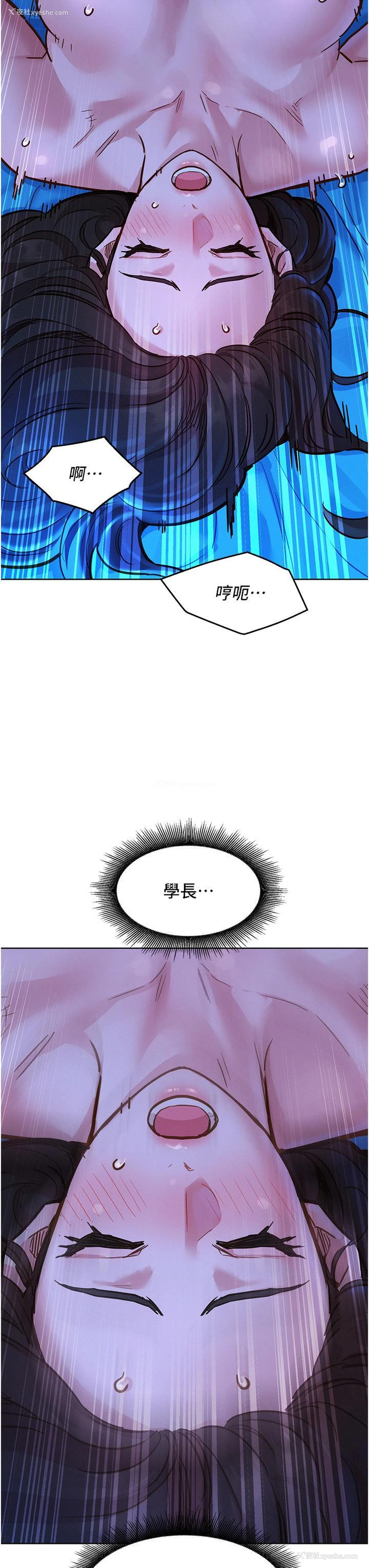 15P - 友情万睡