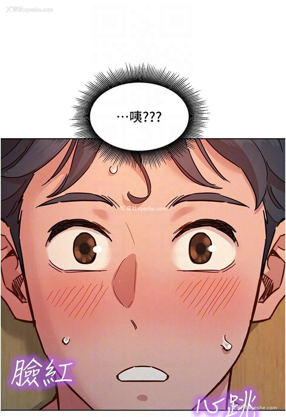48P - 友情万睡